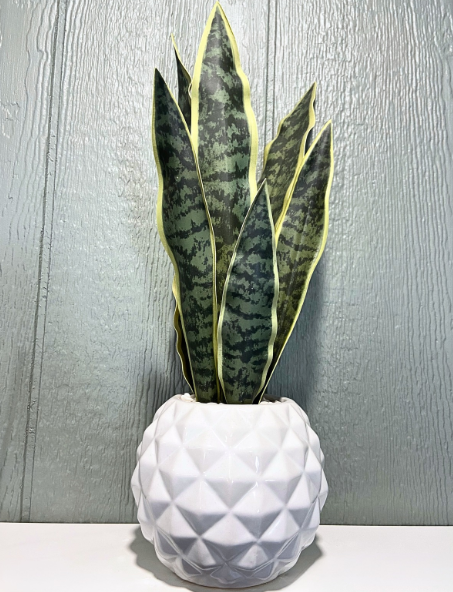 Snake Plant In Diamond Studded Pot