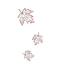 Fall Collection
