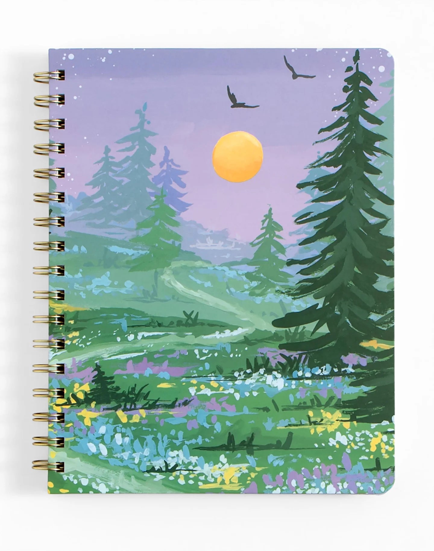 1Canoe2 Spiral Notebooks