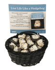 Live Life Like a Hedgehog – Pocket Hedgehogs