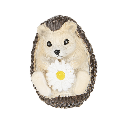 Live Life Like a Hedgehog – Pocket Hedgehogs