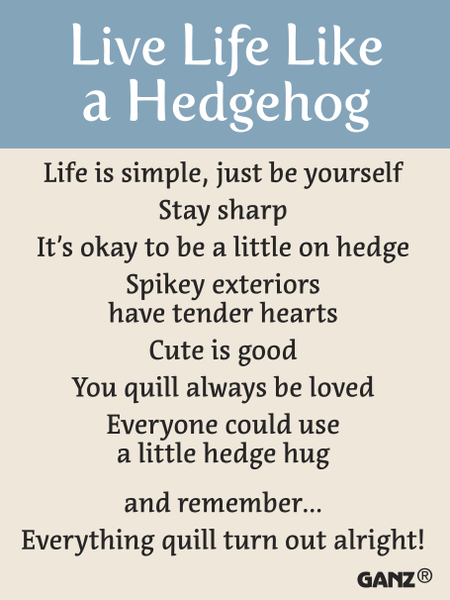 Live Life Like a Hedgehog – Pocket Hedgehogs