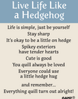 Live Life Like a Hedgehog – Pocket Hedgehogs