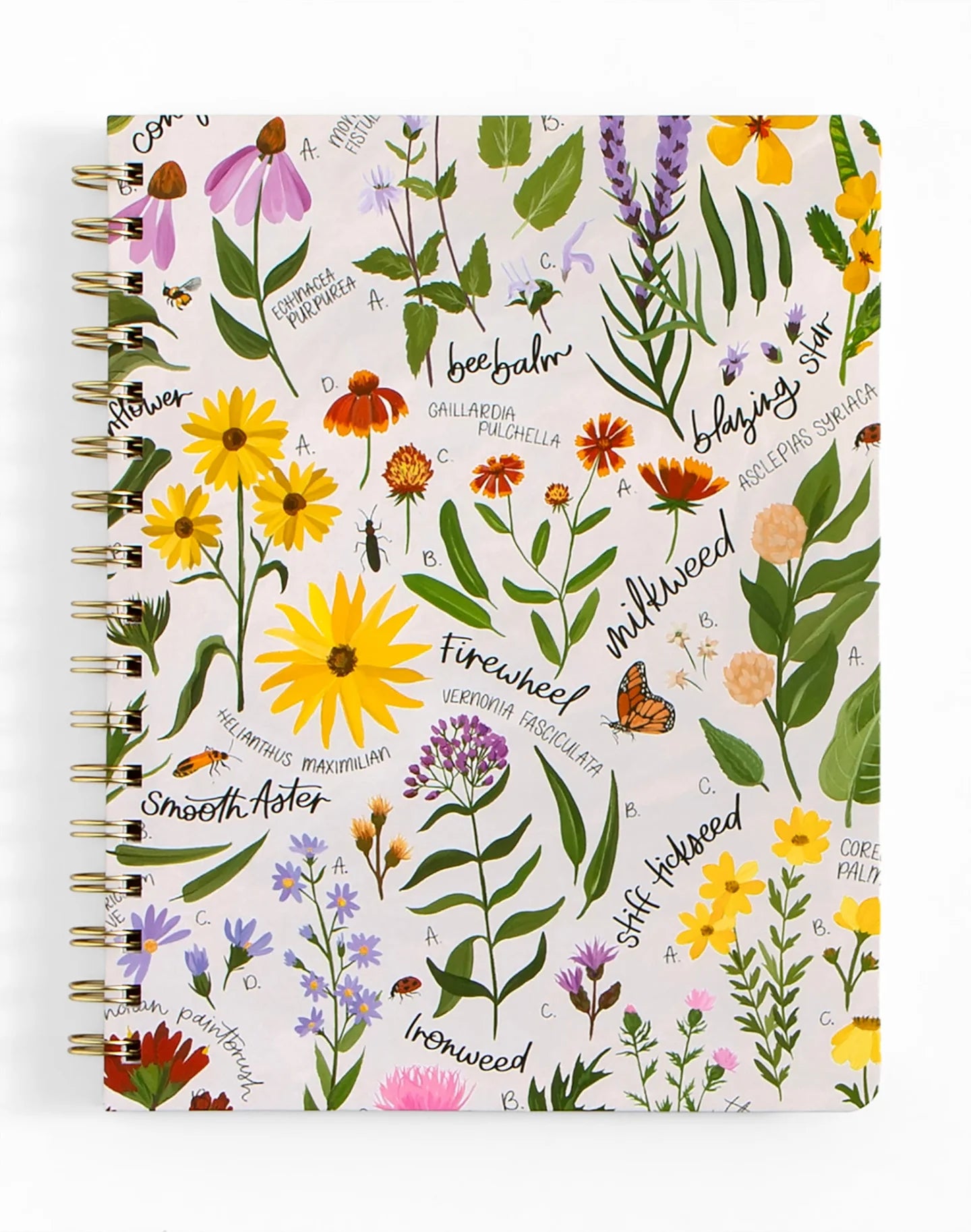 1Canoe2 Spiral Notebooks
