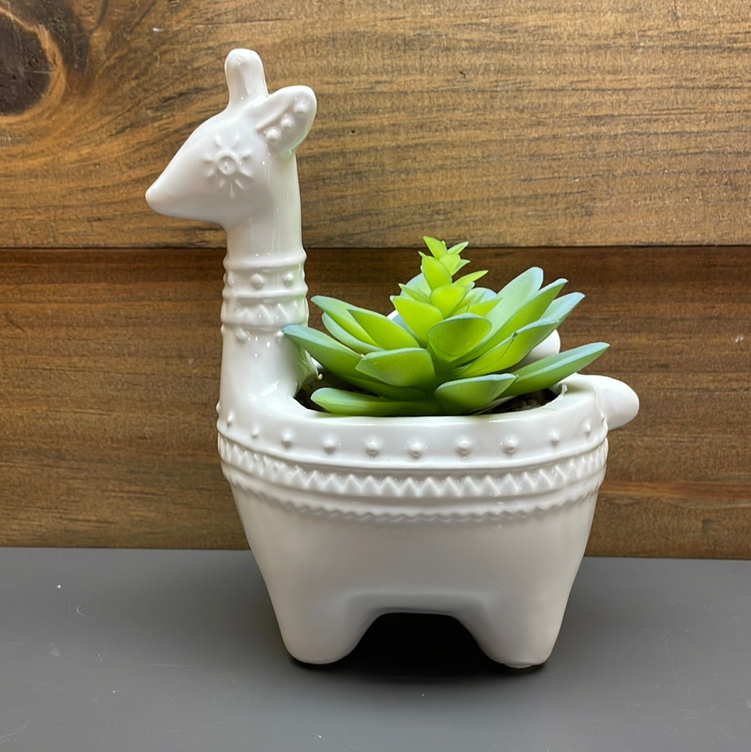 Artificial Succulent in Llama Pot