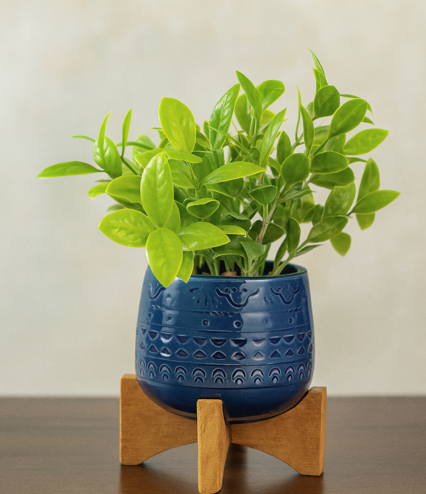 Artificial Potted Plant in a Blue Ceramic Planter with Wooden Stand