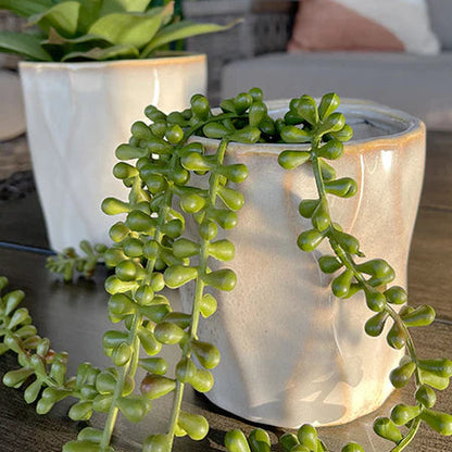 Wavy Creamy White Planter