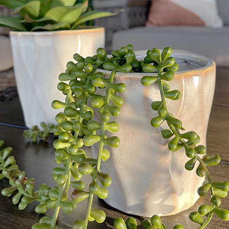Wavy Creamy White Planter