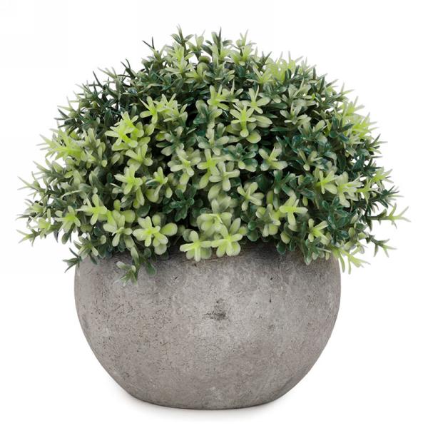 Foliage Ball Plant in Grey Pot