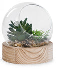 Bubble Terrarium with Wooden Base