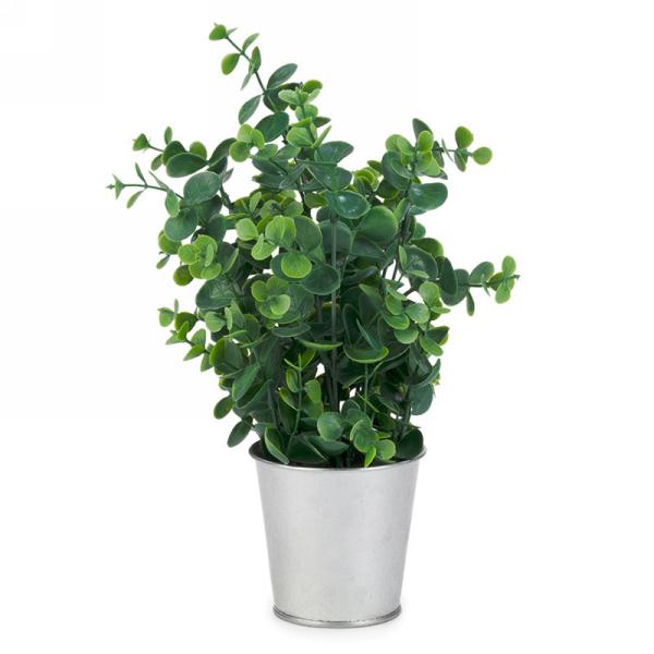 Foliage Plant in Small Silver Metal Pot
