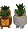 Ceramic Animal Planters