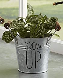 Grow Up Tin Planter