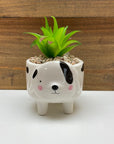 Ceramic Animal Planters