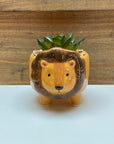 Ceramic Animal Planters