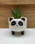 Ceramic Animal Planters