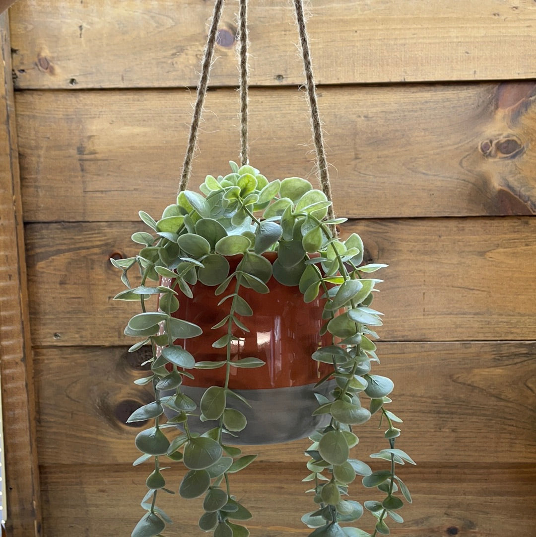 Terracotta Hanging  Pot