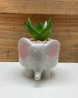 Ceramic Animal Planters