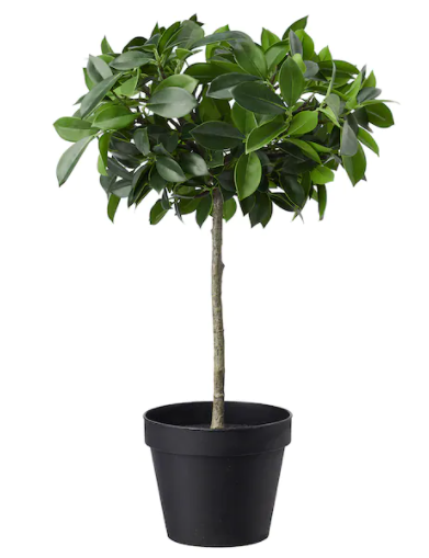 Artificial Potted Plants